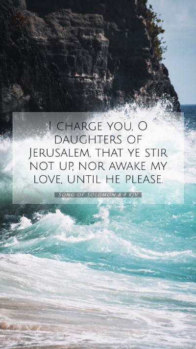 Picture 07 - Song of Solomon 8:4 KJV Mobile Phone Wallpaper - I charge you, O daughters of Jerusalem, that ye - Mobile Bible Verse Wallpaper