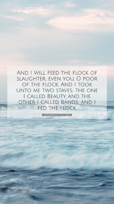 Picture 07 - Zechariah 11:7 KJV Mobile Phone Wallpaper - And I will feed the flock of slaughter, even you, - Mobile Bible Verse Wallpaper