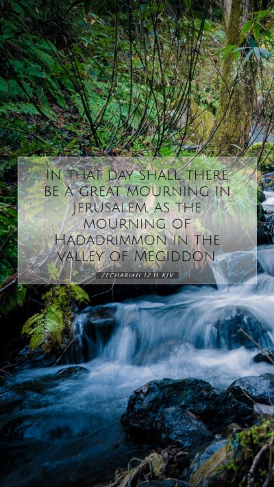 Picture 07 - Zechariah 12:11 KJV Mobile Phone Wallpaper - In that day shall there be a great mourning in - Mobile Bible Verse Wallpaper
