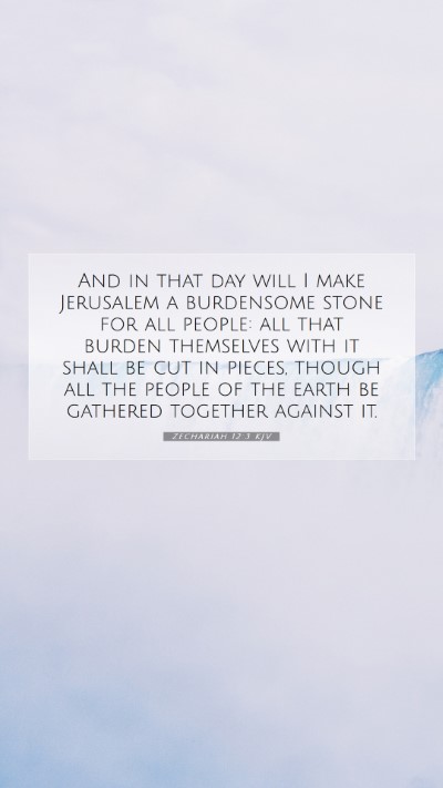 Picture 07 - Zechariah 12:3 KJV Mobile Phone Wallpaper - And in that day will I make Jerusalem a - Mobile Bible Verse Wallpaper