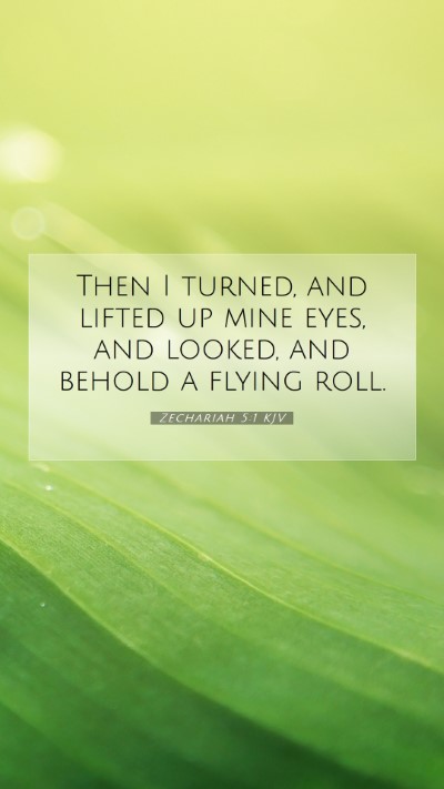 Picture 07 - Zechariah 5:1 KJV Mobile Phone Wallpaper - Then I turned, and lifted up mine eyes, and - Mobile Bible Verse Wallpaper