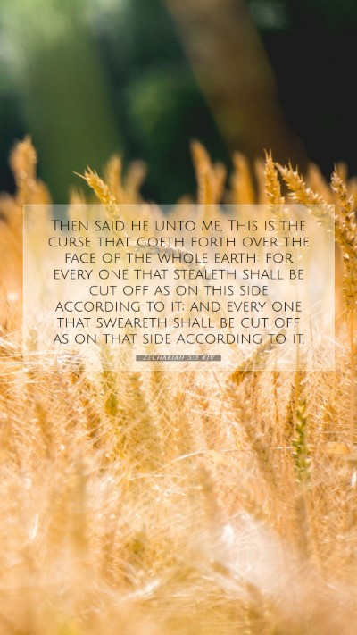 Picture 07 - Zechariah 5:3 KJV Mobile Phone Wallpaper - Then said he unto me, This is the curse that - Mobile Bible Verse Wallpaper
