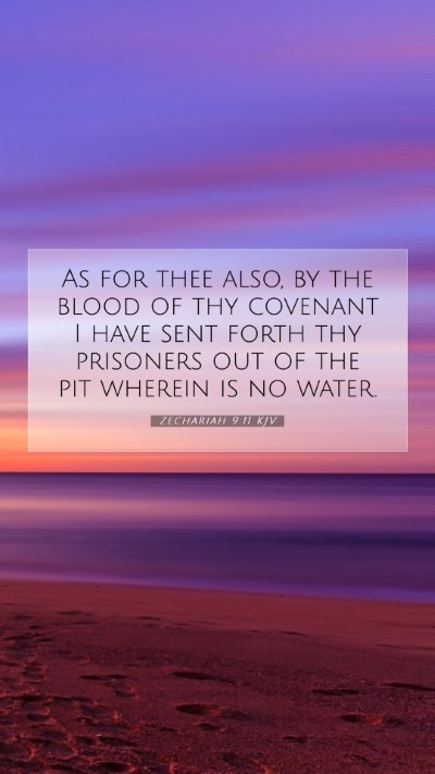 Picture 07 - Zechariah 9:11 KJV Mobile Phone Wallpaper - As for thee also, by the blood of thy covenant I - Mobile Bible Verse Wallpaper